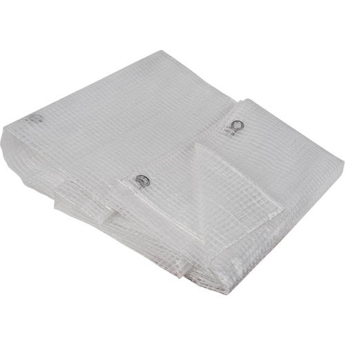 Clear Tarp, 10' x 8' x 8 mils