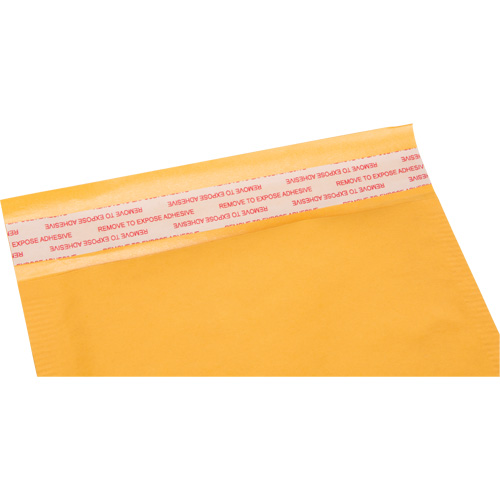 Bubble Shipping Mailer