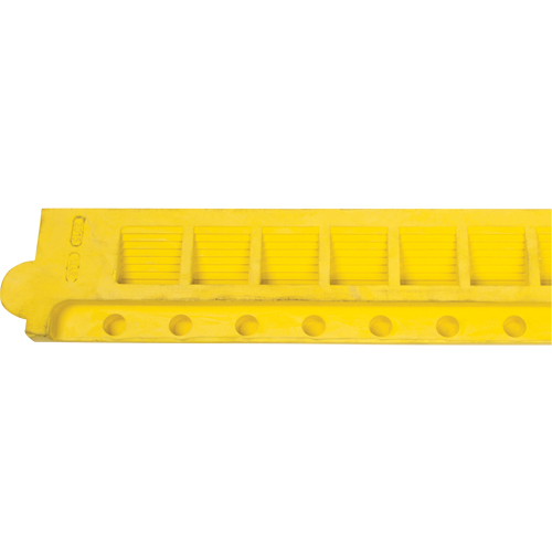 Border Ramp for Matting