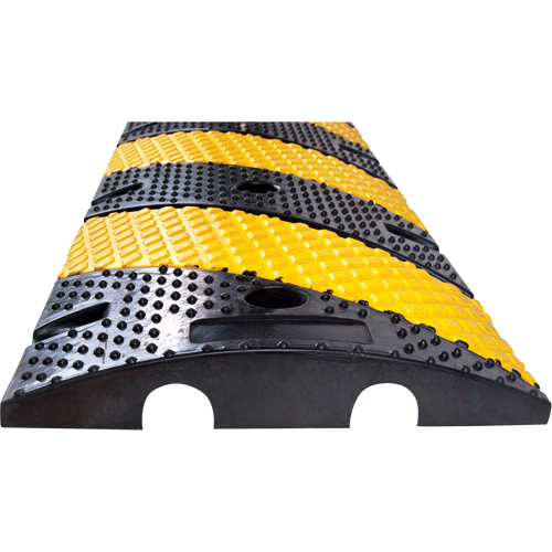 Speed Bump