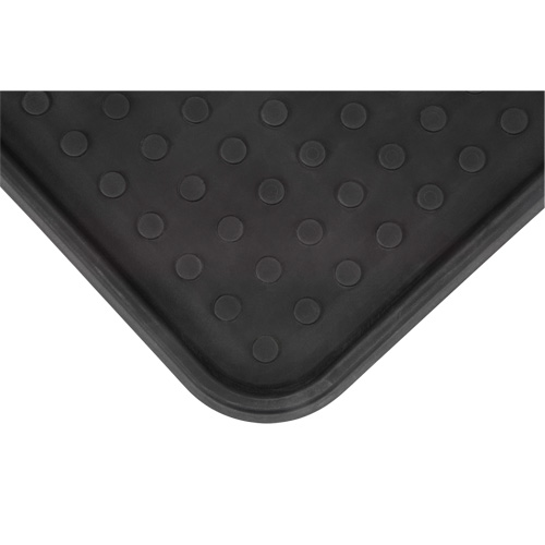 Boot Tray