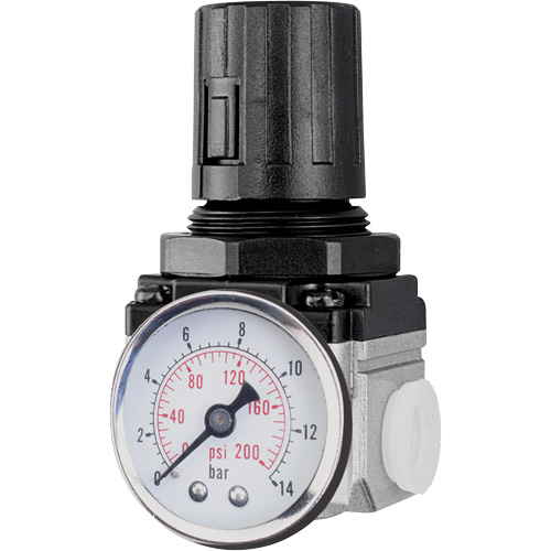 Air Regulator (Gauge Included), 3/4" NPT, 220 PSI Max. PSI, Modular