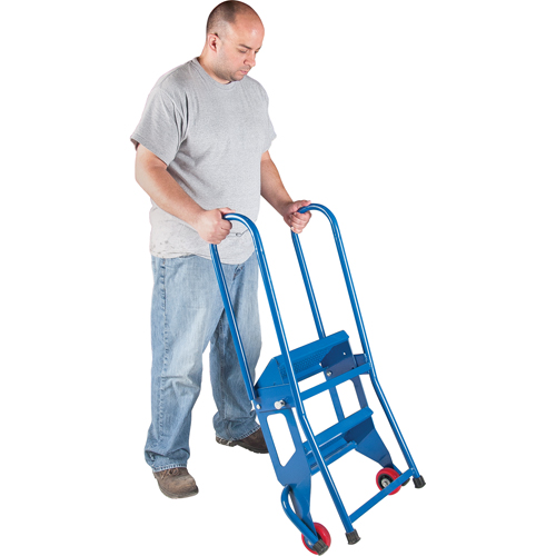 Portable Folding Ladder